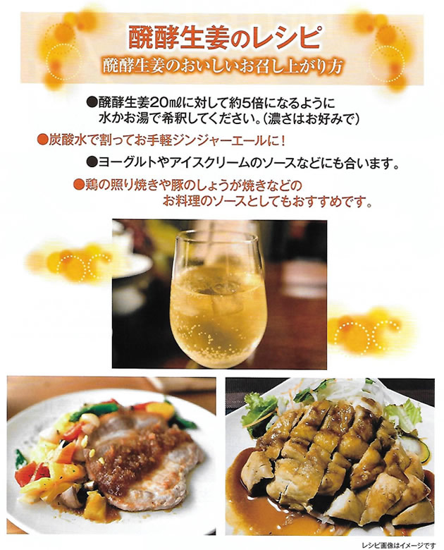 消費税無し しょうが ドリンク 発酵 ジャフマック 醗酵生姜 565ml 6個セット 送料無料 fucoa.cl